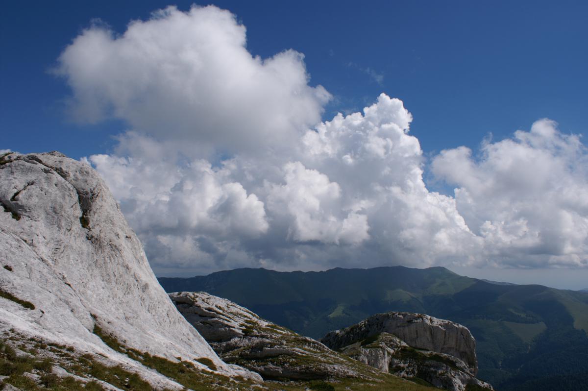 rszPICT4971_1200x798